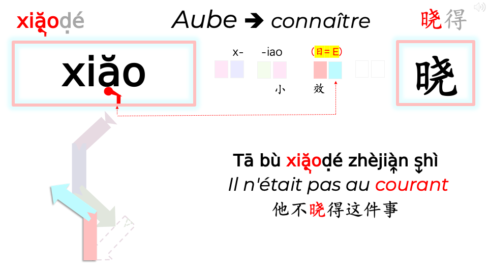 12b_HGC_TetesDeGroupe-ABCDE