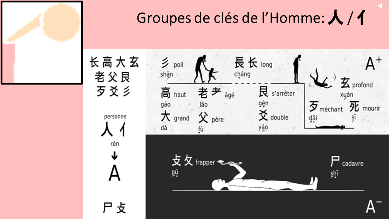 18_12c_HLS-HGC_Groupe-ABCDE