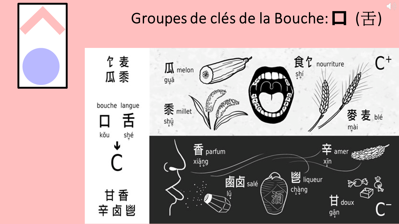 18_12c_HLS-HGC_Groupe-ABCDE