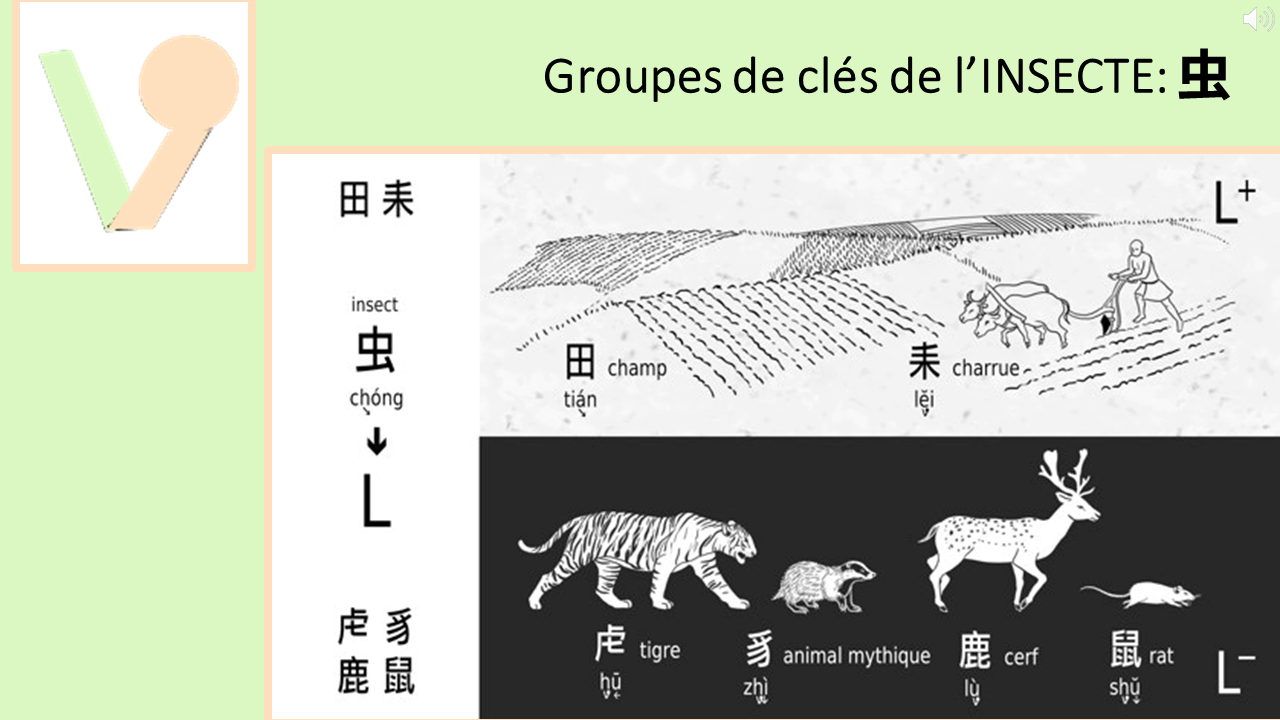 20_14c_HLS-HGC_Groupe-KLMNO