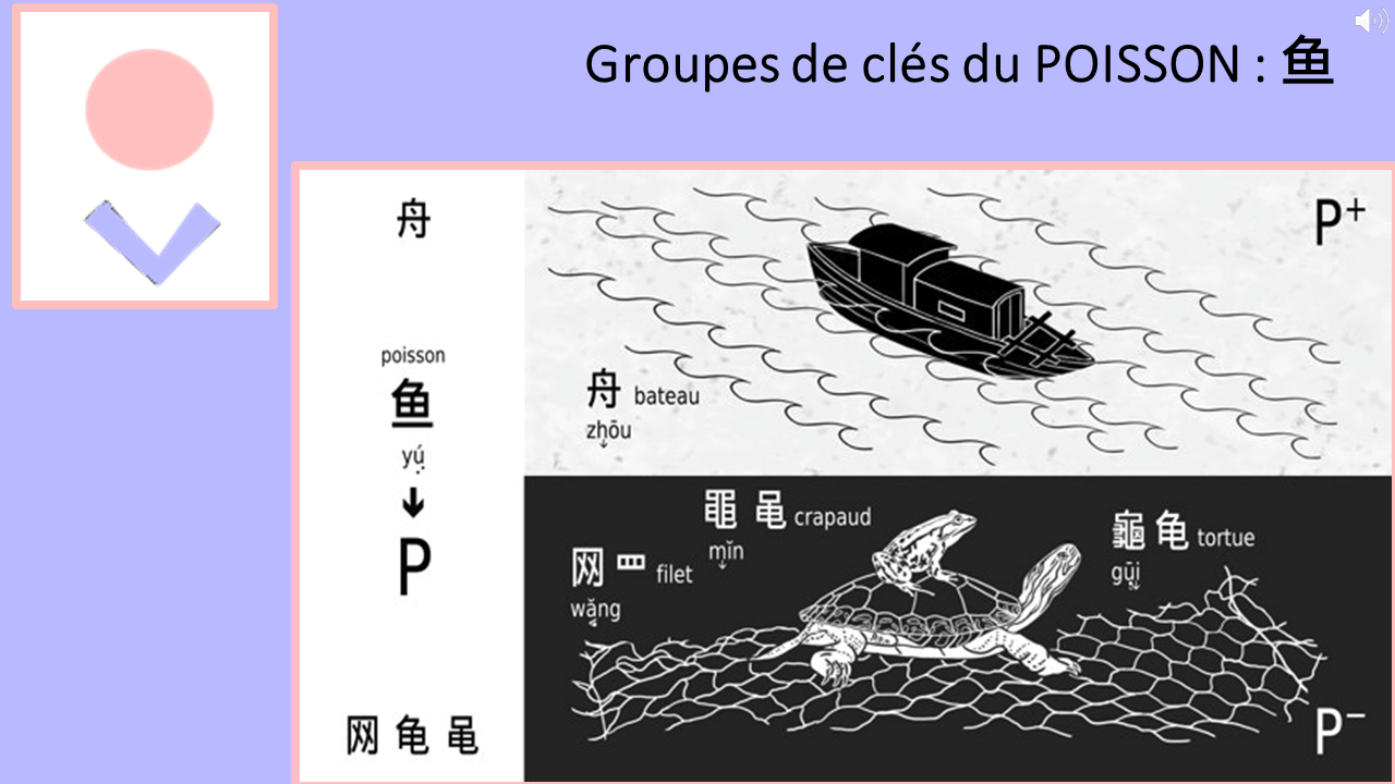 21_15c_HLS-HGC_Groupe-PQRST