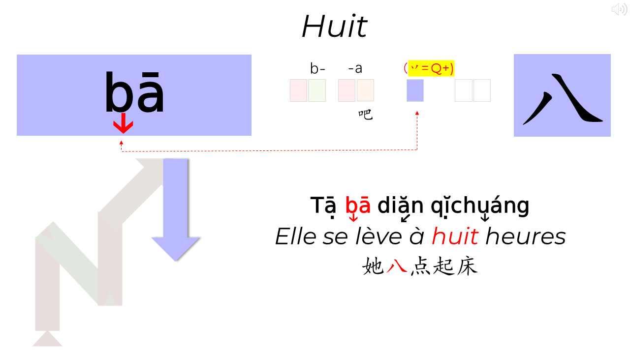 21_15c_HLS-HGC_Groupe-PQRST