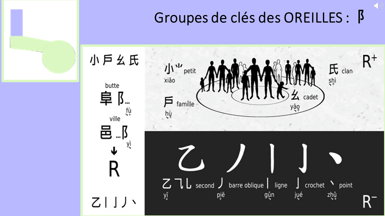 21_15c_HLS-HGC_Groupe-PQRST