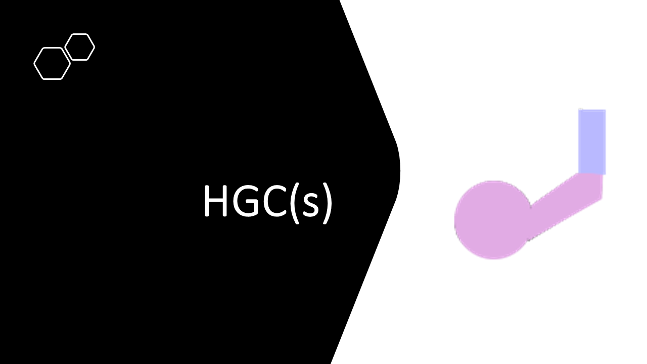 21_15c_HLS-HGC_Groupe-PQRST