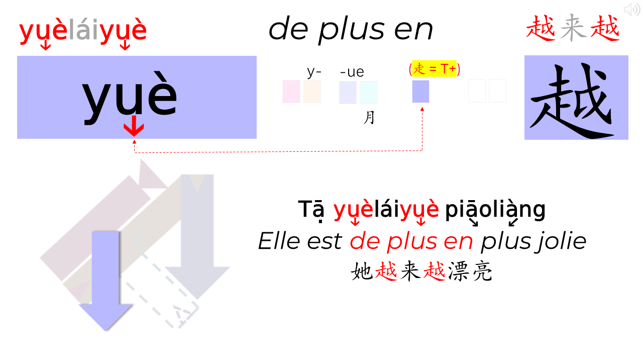 21_15c_HLS-HGC_Groupe-PQRST