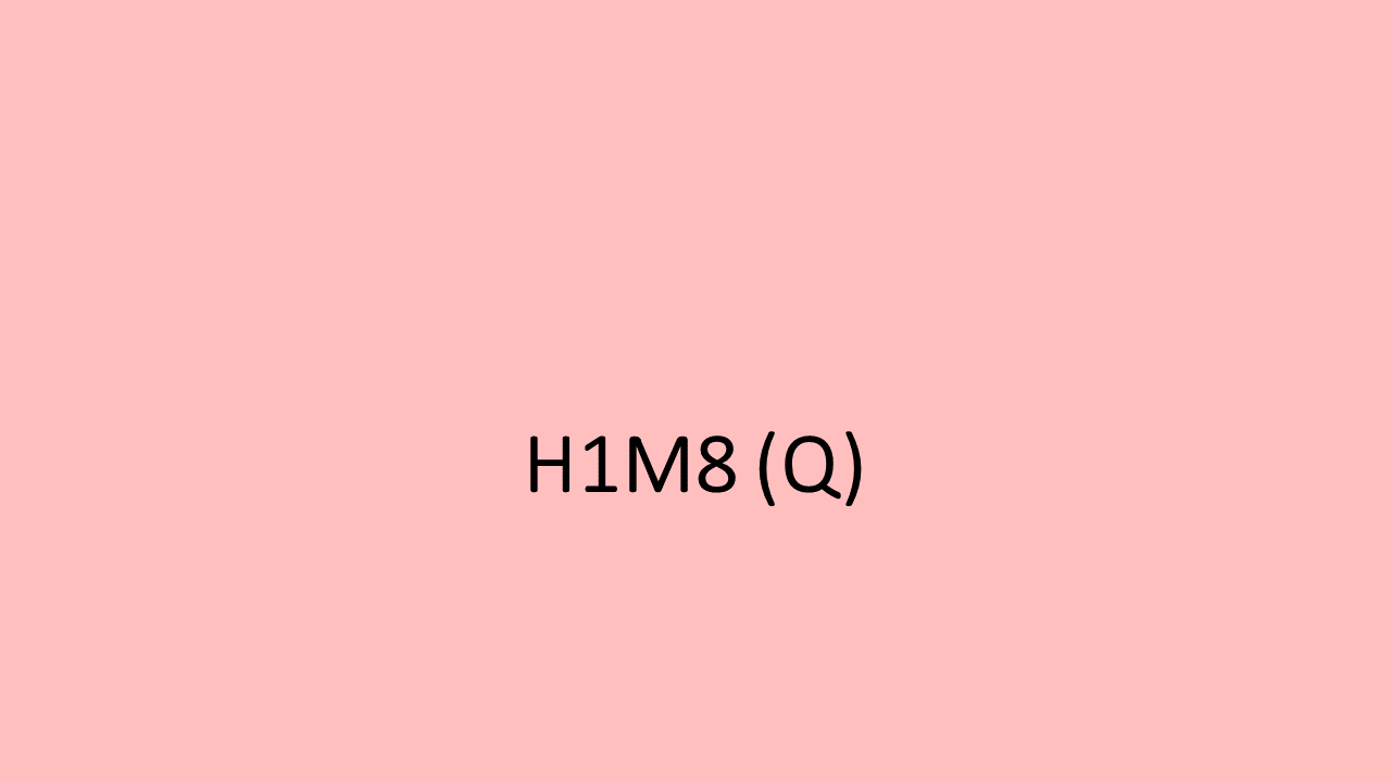 23_H1M-H2M8