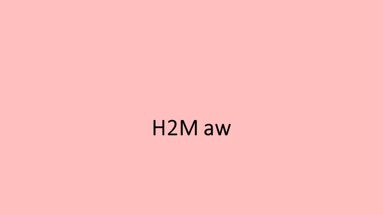 23_H1M-H2M8