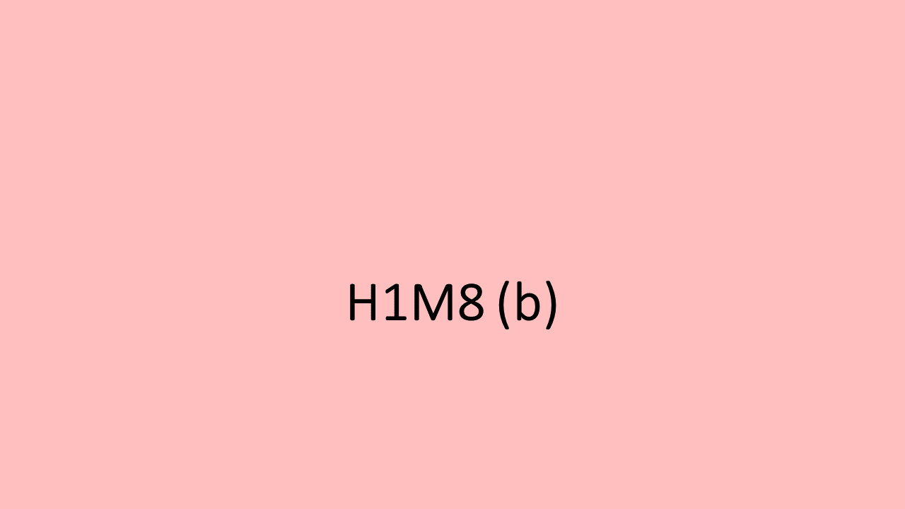 23_H1M-H2M8