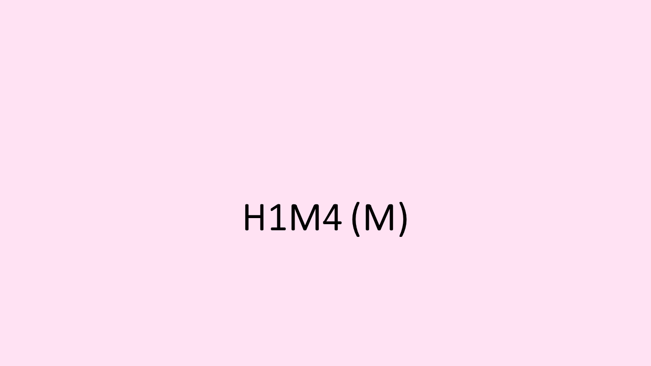 26_H1M4