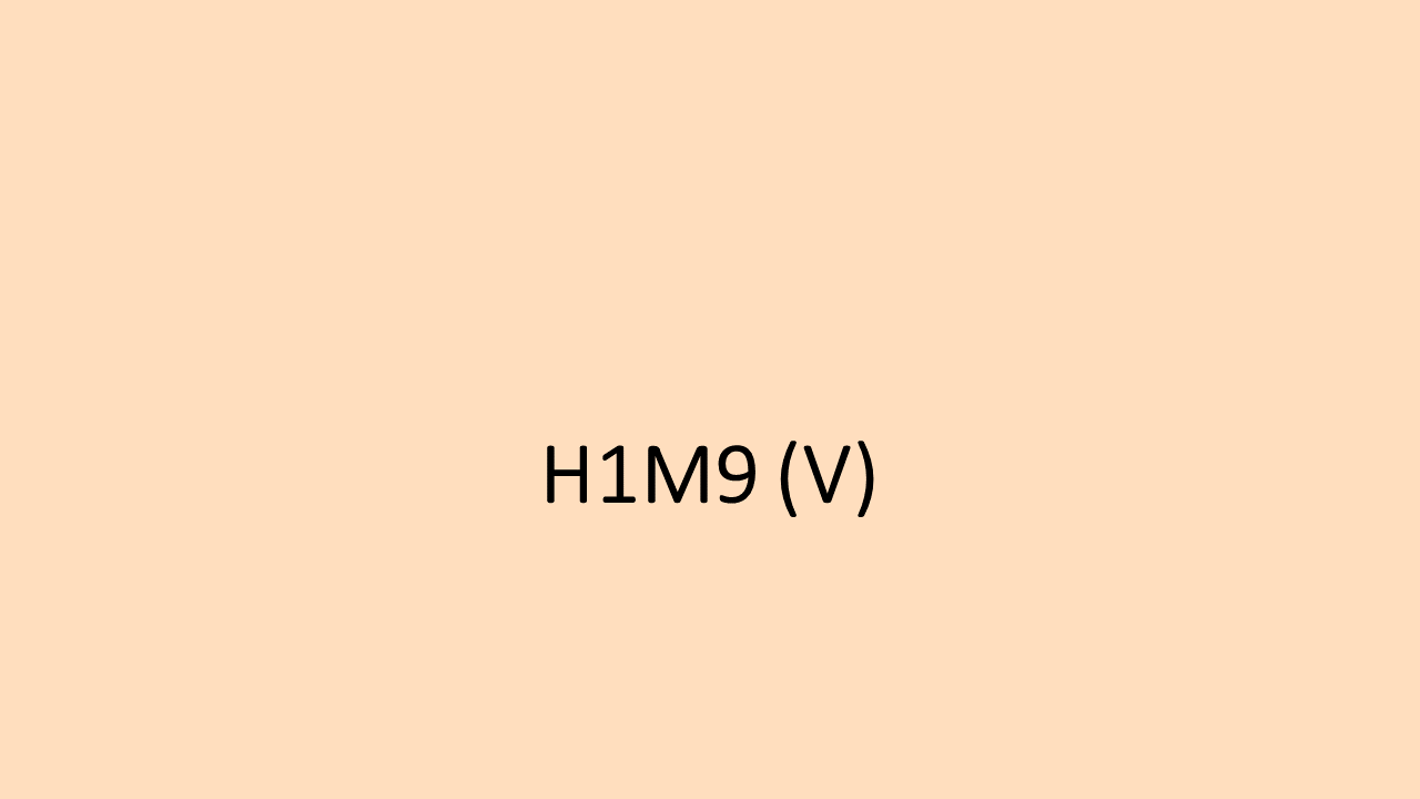 27_H1M9