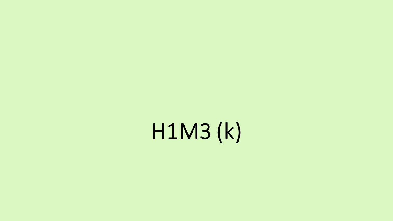 28_H1M3