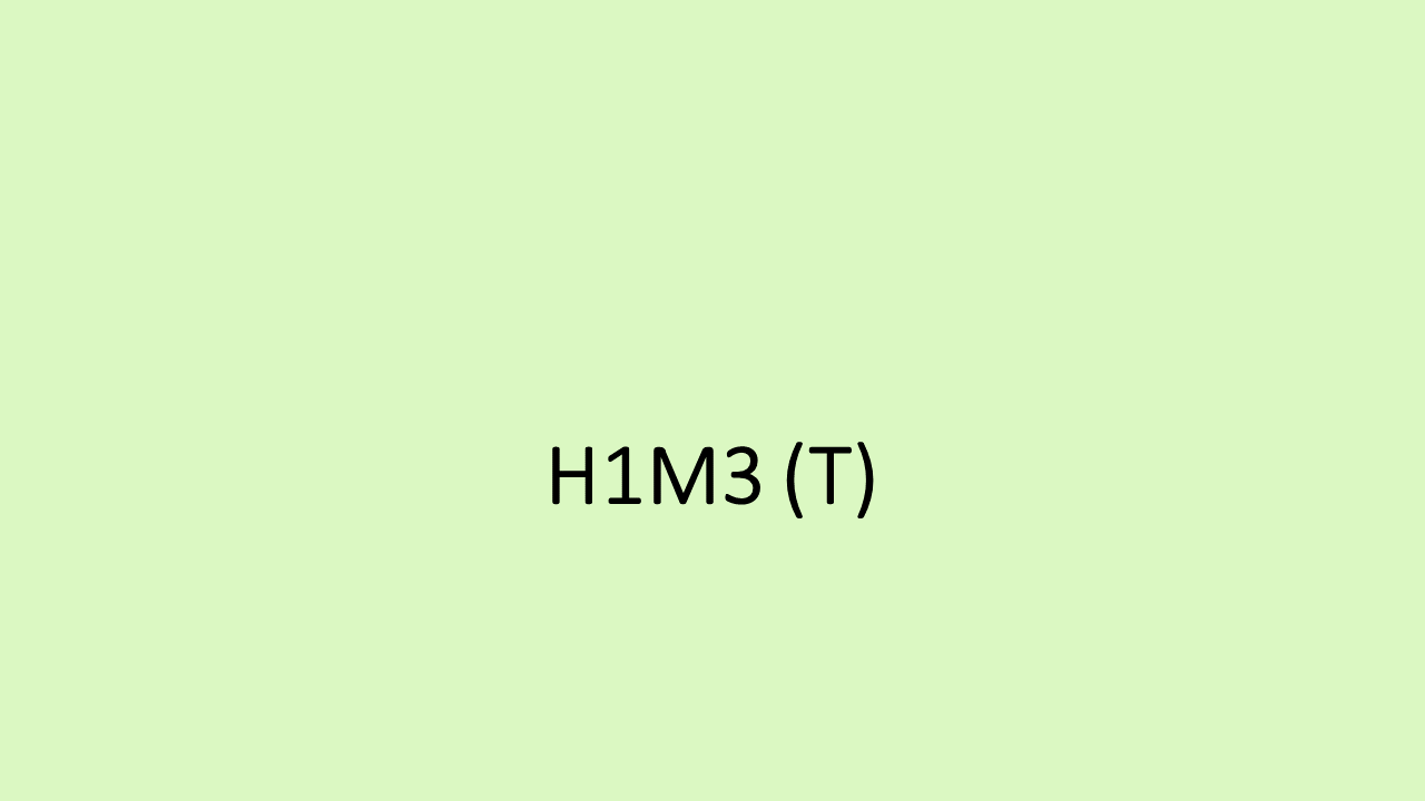 28_H1M3