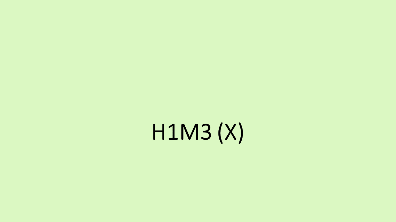 28_H1M3