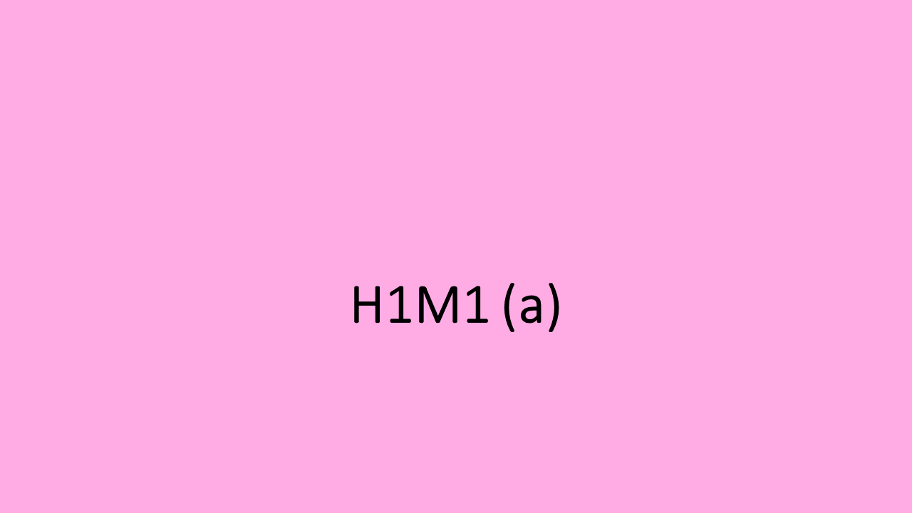 29_H1M1