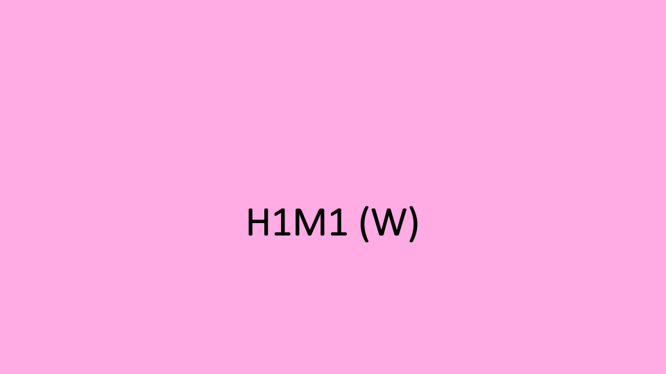 29_H1M1